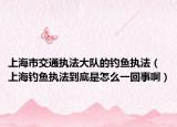 上海市交通执法大队的钓鱼执法（上海钓鱼执法到底是怎么一回事啊）