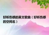 好听伤感的英文歌曲（好听伤感的空间名）