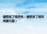 康熙来了杨宗纬（康熙来了杨宗纬第几期）