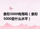 象形5000有用吗（象形5000是什么水平）