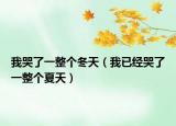 我哭了一整个冬天（我已经哭了一整个夏天）
