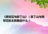 《樊梨花与薛丁山》（薛丁山与樊梨花的主题曲是什么）