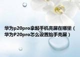 华为p20pro拿起手机亮屏在哪里（华为P20pro怎么设置抬手亮屏）