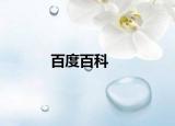 百度百科