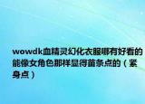 wowdk血精灵幻化衣服哪有好看的能像女角色那样显得苗条点的（紧身点）