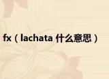 fx（lachata 什么意思）