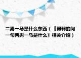 二男一马是什么东西（〖弱弱的问一句两男一马是什么〗相关介绍）