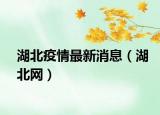 湖北疫情最新消息（湖北网）