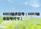 6003轴承型号（6003轴承型号尺寸）