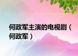 何政军主演的电视剧（何政军）