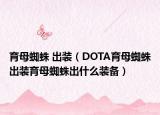 育母蜘蛛 出装（DOTA育母蜘蛛出装育母蜘蛛出什么装备）