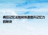 疯狂记忆法如何快速提升记忆力的秘诀