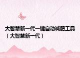大智慧新一代一键自动减肥工具（大智慧新一代）