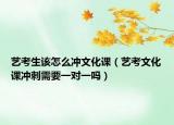 艺考生该怎么冲文化课（艺考文化课冲刺需要一对一吗）