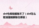 dnf仓库锁解除不了（dnf怎么取消强制解除仓库锁）