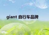 giant 自行车品牌