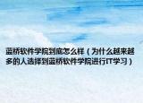 蓝桥软件学院到底怎么样（为什么越来越多的人选择到蓝桥软件学院进行IT学习）