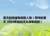 夏天的味道电视剧人物（原味的夏天 2003年由邱泽主演电视剧）