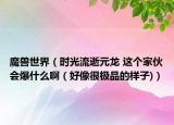 魔兽世界（时光流逝元龙 这个家伙会爆什么啊（好像很极品的样子)）
