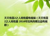 天天有喜2之人间有爱电视猫（天天有喜2之人间有爱 2016年拉风传媒出品电视剧）