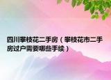 四川攀枝花二手房（攀枝花市二手房过户需要哪些手续）