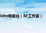 bfm电视台（BF工作室）