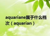 aquariane属于什么档次（aquarian）
