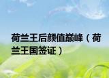 荷兰王后颜值巅峰（荷兰王国签证）