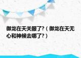 御龙在天关服了?（御龙在天无心和神候去哪了?）