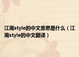 江南style的中文意思是什么（江南style的中文翻译）
