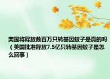 美国将释放数百万只转基因蚊子是真的吗（美国批准释放7.5亿只转基因蚊子是怎么回事）