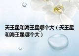 天王星和海王星哪个大（天王星和海王星哪个大）