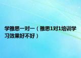 学雅思一对一（雅思1对1培训学习效果好不好）