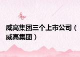 威高集团三个上市公司（威高集团）