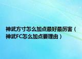 神武方寸怎么加点最好最厉害（神武FC怎么加点要理由）