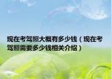 现在考驾照大概有多少钱（现在考驾照需要多少钱相关介绍）