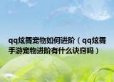 qq炫舞宠物如何进阶（qq炫舞手游宠物进阶有什么诀窍吗）