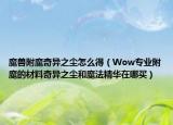 魔兽附魔奇异之尘怎么得（Wow专业附魔的材料奇异之尘和魔法精华在哪买）