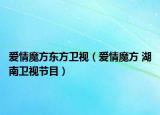 爱情魔方东方卫视（爱情魔方 湖南卫视节目）