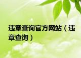 违章查询官方网站（违章查询）