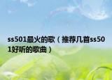 ss501最火的歌（推荐几首ss501好听的歌曲）