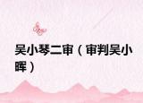 吴小琴二审（审判吴小晖）