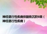 神经退行性疾病伴脑铁沉积6级（神经退行性疾病）