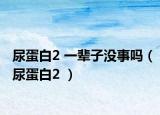 尿蛋白2 一辈子没事吗（尿蛋白2 ）