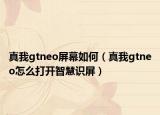 真我gtneo屏幕如何（真我gtneo怎么打开智慧识屏）