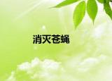 消灭苍蝇