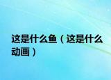这是什么鱼（这是什么动画）