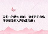 贝多芬的悲伤 原唱（贝多芬的悲伤伴奏要没有人声的纯音乐）