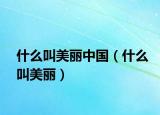 什么叫美丽中国（什么叫美丽）