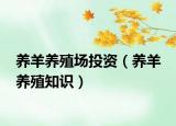 养羊养殖场投资（养羊 养殖知识）